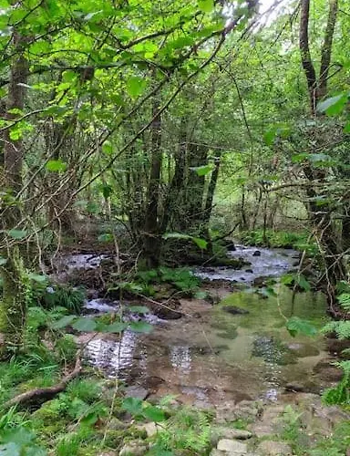 Casa A Pedra * Morgadanes